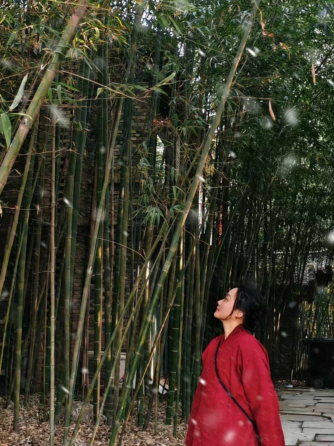 见素抱朴（清虚子）