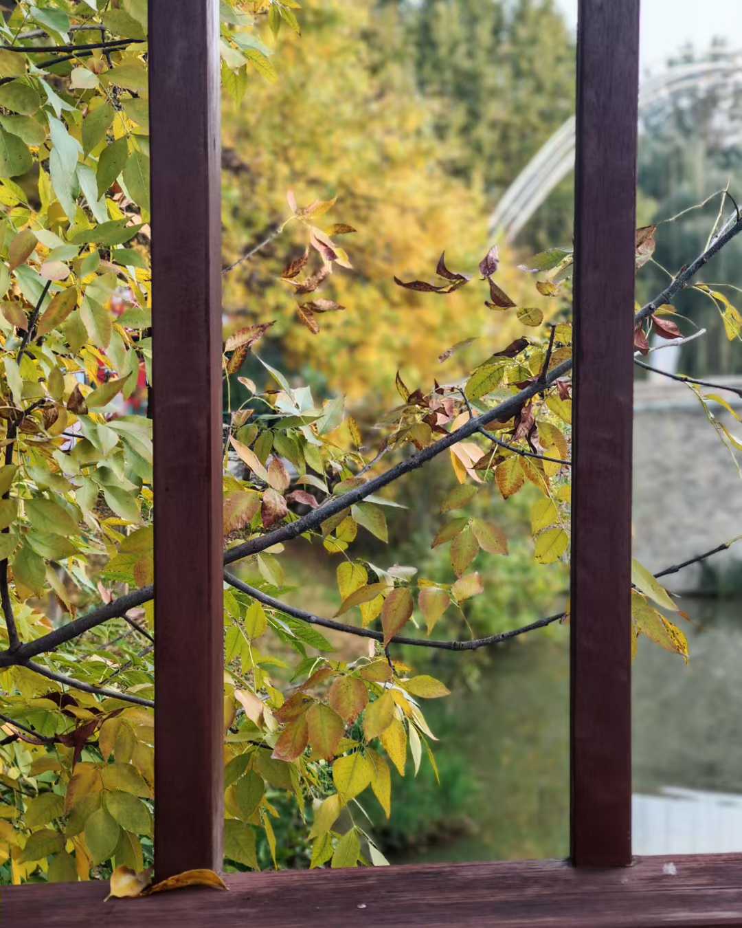 闲说家宅风水布局之不祥之物（清虚子）